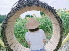 -天府芙蓉园