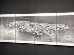 -江苏省美术馆(长江路新馆)