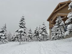 -长白山万达喜来登度假酒店