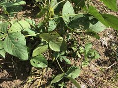 -营地公园·团建拓展·亲子户外(奉贤店)