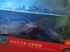 -三江源活鱼现烤(维多利摩尔城店)