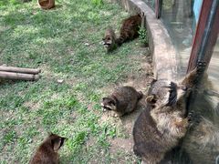 -青藏高原野生动物园