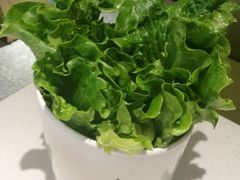 -古乐牛香·鲜牛肉牛杂火锅(新区店)