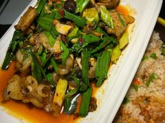 -陈麻婆豆腐总店