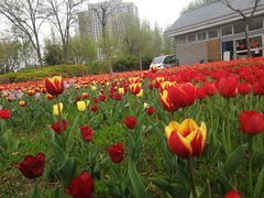 -廊坊文化艺术中心