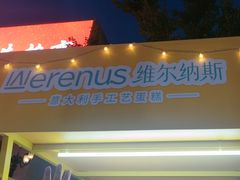 -维尔纳斯·生日蛋糕动物奶油冰淇淋蛋糕(人大店)