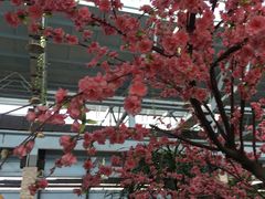 -森谷美食公园(杨行店)