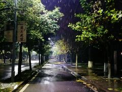 -曲阜师范大学(曲阜校区)