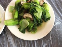香菇青菜-绿野餐厅(上海动物园店)