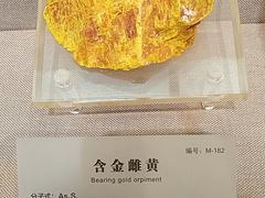 -湖南省地质博物馆