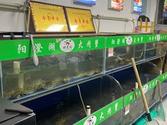 -阳澄湖大闸蟹·琼灵阁牌品牌连锁(吴中总店)