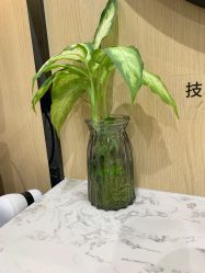 -倾城护肤造型