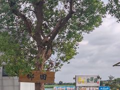 -乡乐园蟹庄·阳澄湖农家乐