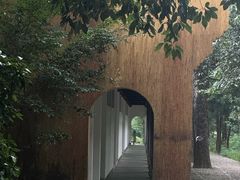 -五泄景区