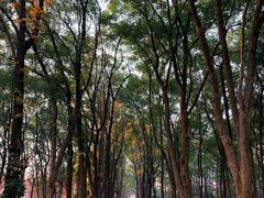 -东湖磨山景区