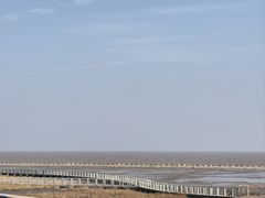 -南汇嘴观海公园