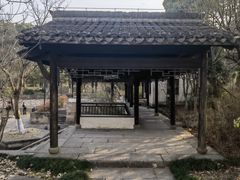 -观潮胜地公园