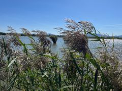 -野鸭湖国家湿地公园