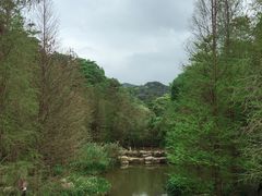 -云溪植物园