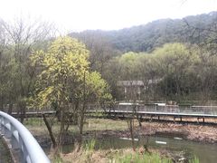 -西湖风景区-江洋畈生态公园