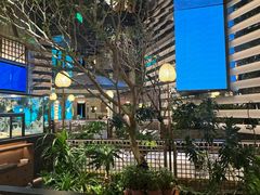 -桂满陇·海市蜃楼·黑金(国金店)