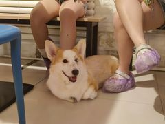 -平行世界·猫咖(首经贸店)