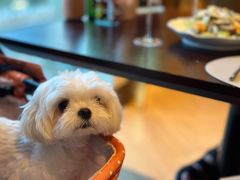 -普朗姆生蚝牛排馆 The Plump Oyster(成都摩方购物中心店)