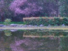 -木塔寺遗址生态公园