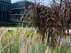 -星巴克(深圳前海企业公馆店)