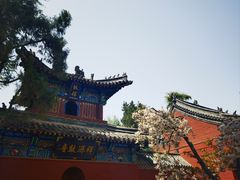 -洛阳白马寺