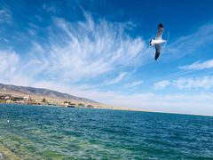 -青海湖国家重点风景名胜区