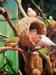 -Zoolung Zoolung动物主题公园(海信广场店)