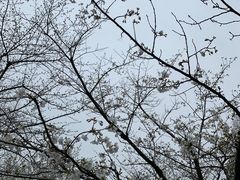 -南京城墙景区