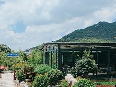 -蘇河湾·新鲁菜·泰山宴(泰山店)