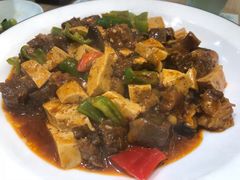 菜豆腐烧牛腩-钟记家菜(红专南路店)
