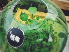 -北马山庄植趣咖啡