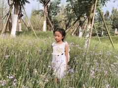 -白鹭湾湿地公园