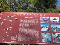 -大岭沟猕猴桃谷风景区