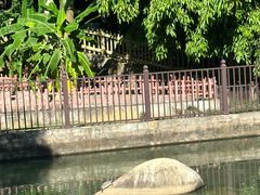 -广东惠东海龟国家级自然保护区