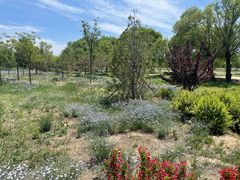 -野鸭湖国家湿地公园