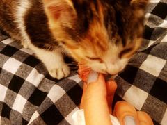 -巴国布衣(吴中路店)