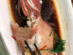 东星斑-圆苑(上海广场店)