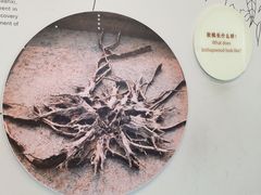 -金沙遗址博物馆