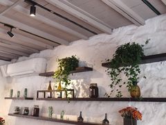 -Apollo·西班牙小酒馆(安福路店)
