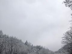 -沣峪口