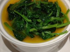 上汤豌豆苗-惠丰堂饭庄·烤鸭·京味菜(翠微路店)