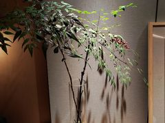-上海佘山茂御臻品之选酒店(原佘山艾美酒店)