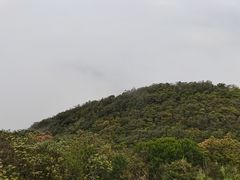 -梧桐山风景名胜区