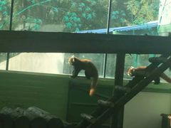 -石家庄市动物园