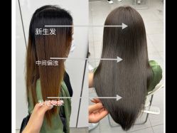 -蚂蚁造型俱乐部